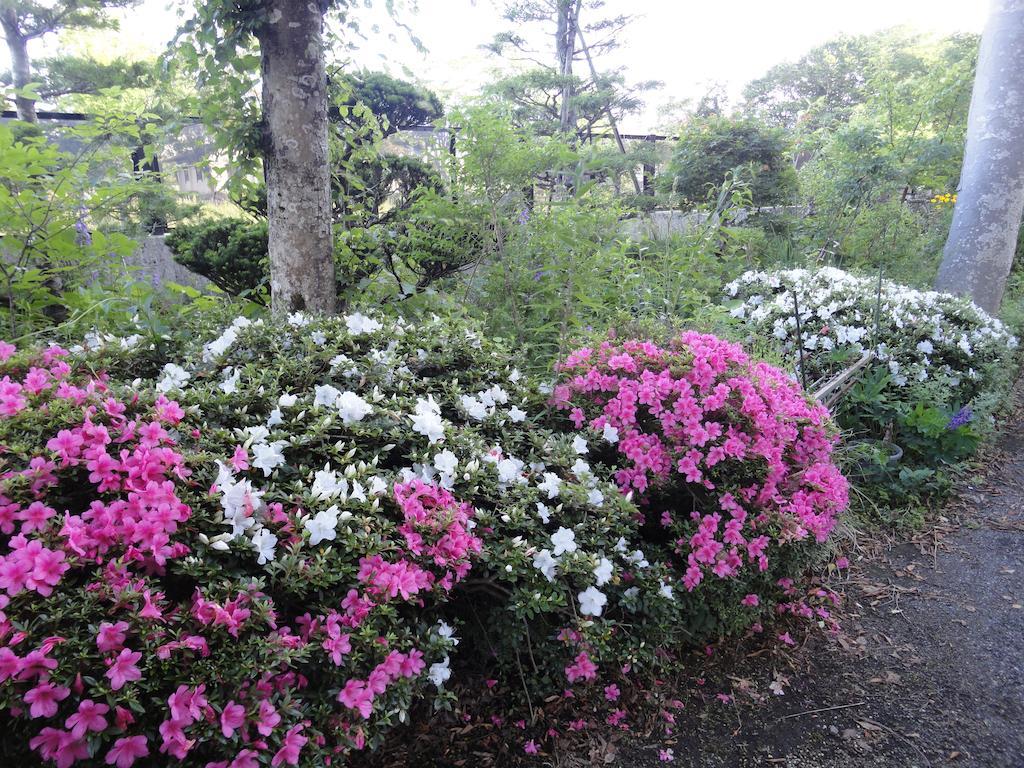 Yamanouchi Guest House Yamanakako Eksteriør bilde